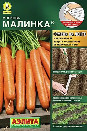 Морковь Малинка