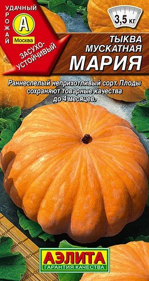 Тыква мускатная Мария