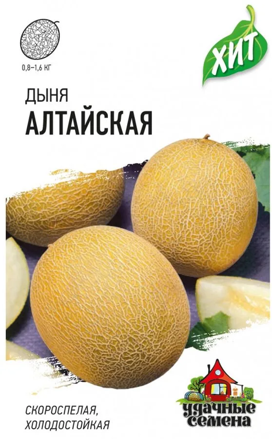 Дыня Алтайская