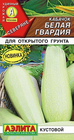 Кабачок белоплодный Белая гвардия