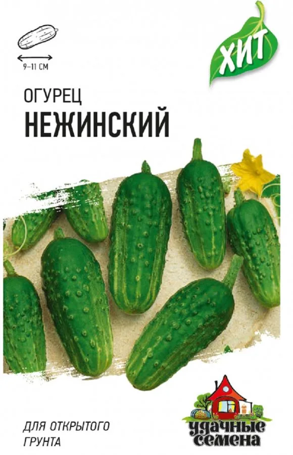Семена: Огурец Нежинский