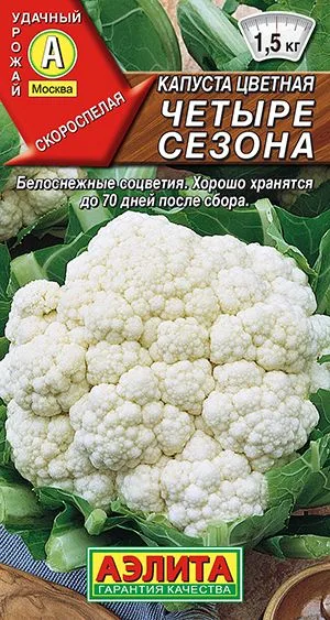 Капуста цветная Четыре сезона