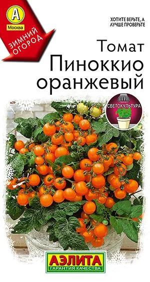 Томат Пиноккио оранжевый
