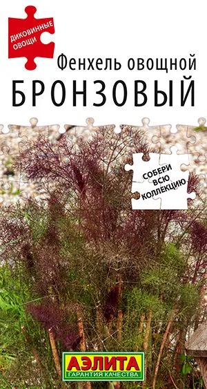 Пряные травы Фенхель овощной Бронзовый