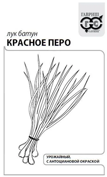 Лук батун Красное перо