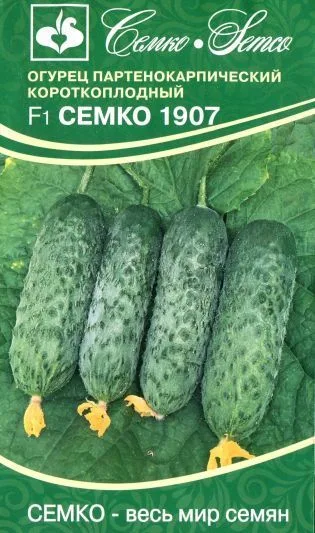 Огурец Семко 1907 F1