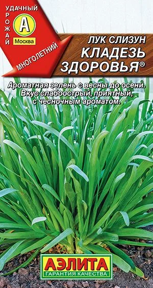 Лук слизун Кладезь здоровья