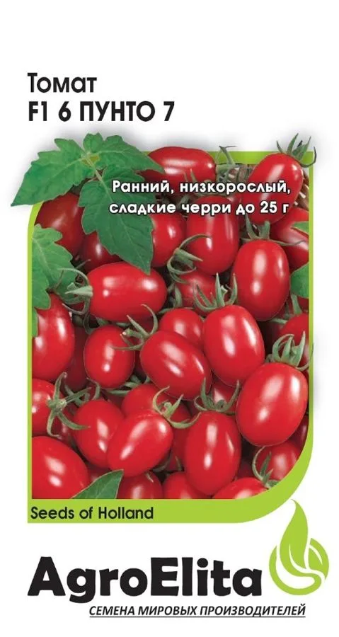 Томат 6 Пунто 7 F1