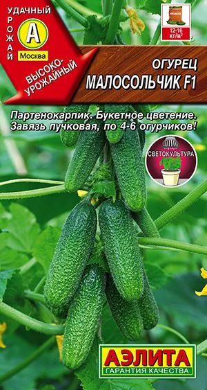 Огурец Малосольчик F1