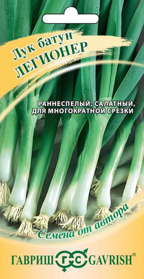 Лук батун Легионер