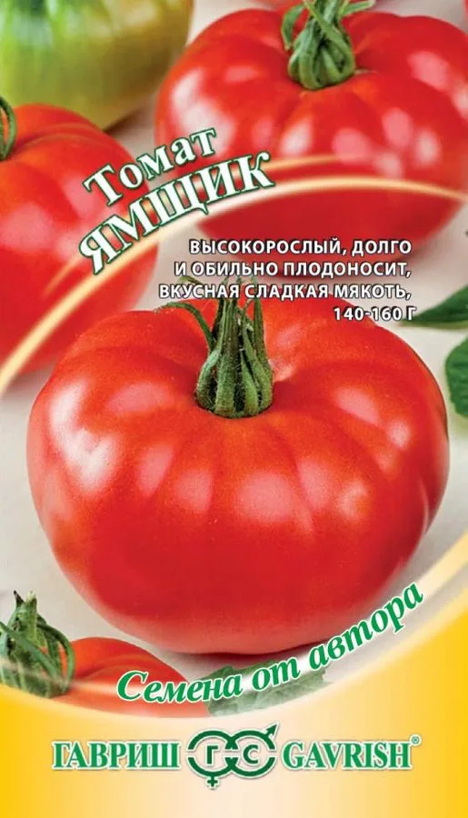 Томат Ямщик
