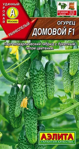 Семена: Огурец Домовой F1