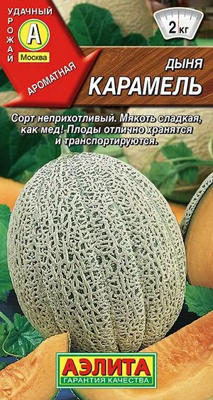 Дыня Карамель