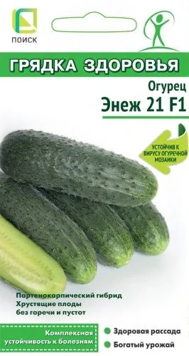 Огурец Энеж 21 F1