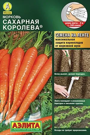 Морковь Сахарная королева