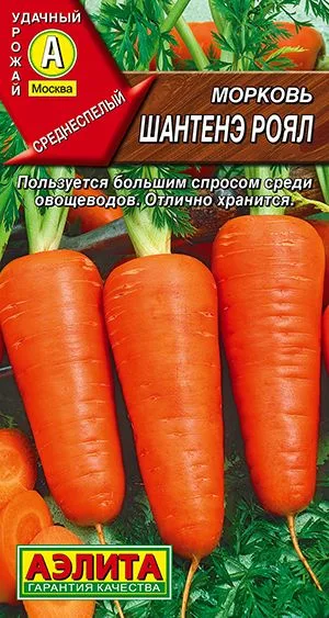 Морковь Шантенэ Роял