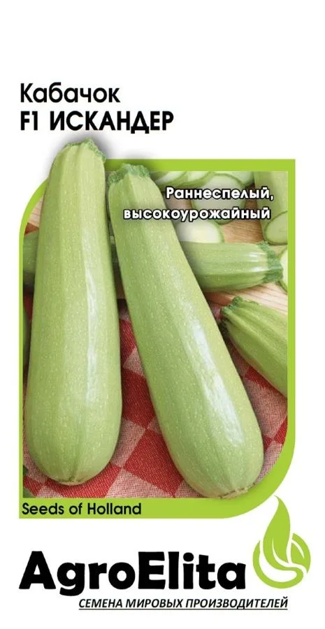 Кабачок Искандер F1