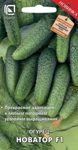 Огурец Новатор F1