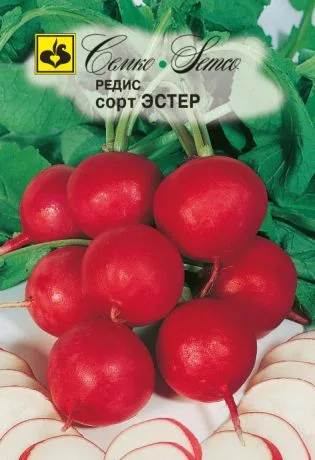 Редис Эстер