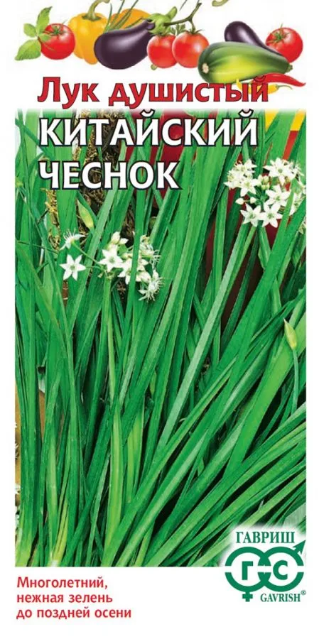 Лук душистый Китайский чеснок
