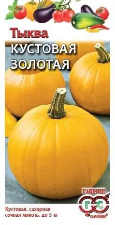 Тыква Кустовая золотая