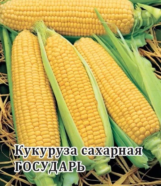Кукуруза сахарная Государь