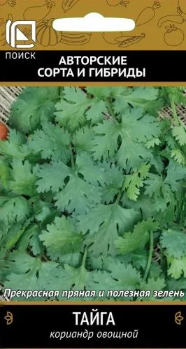 Кинза Кориандр овощной Тайга