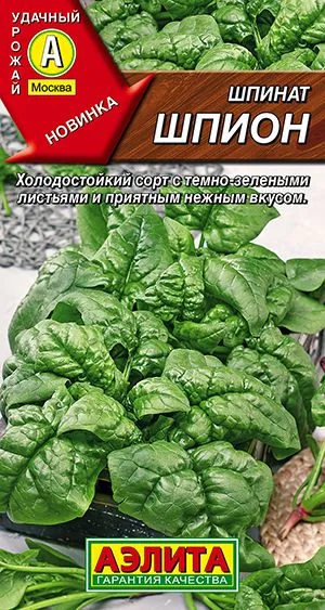 Салат Шпинат Шпион