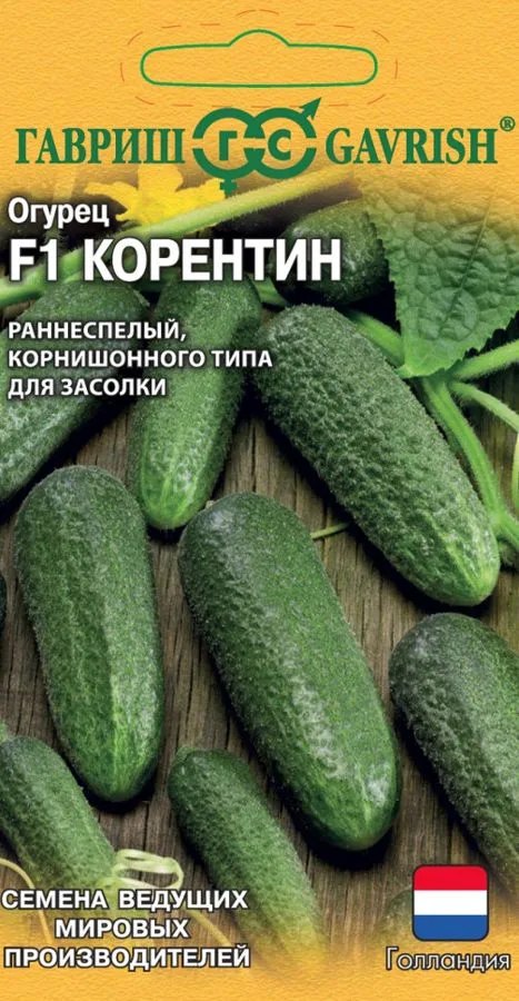 Семена: Огурец Корентин F1