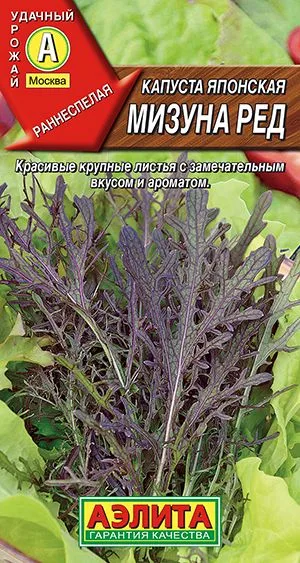 Капуста японская Мизуна ред