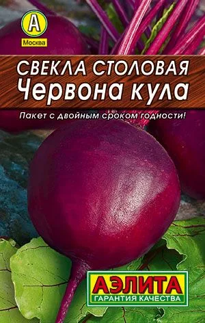 Свёкла Свекла столовая Червона Кула