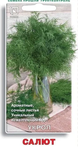 Укроп Салют