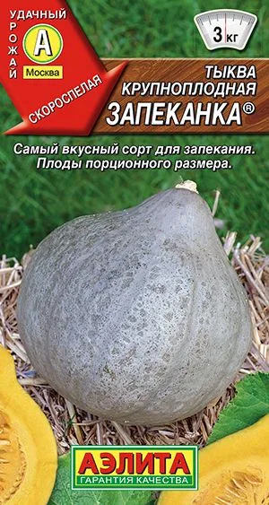 Тыква крупноплодная Запеканка