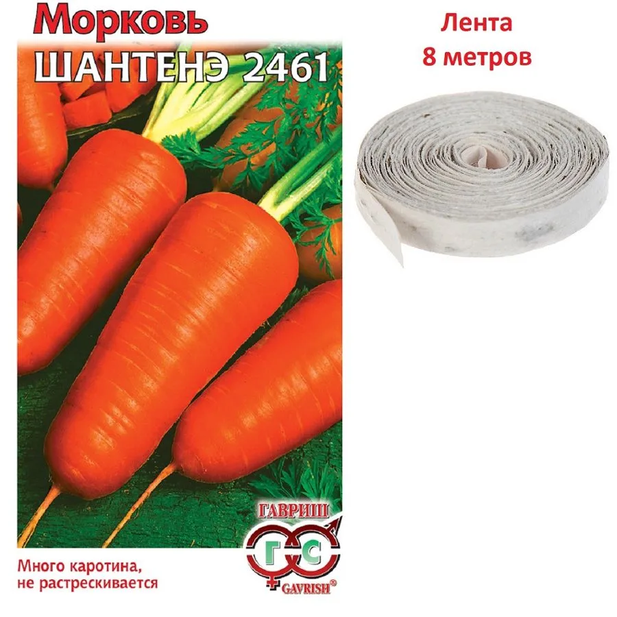Морковь Шантенэ 2461, на ленте, 8м, Гавриш