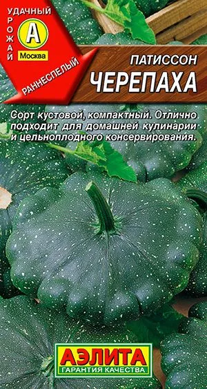 Патиссон Черепаха