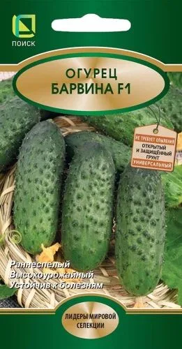 Семена: Огурец Барвина F1