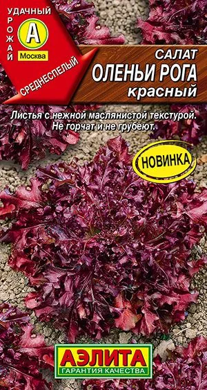 Салат Оленьи рога красный