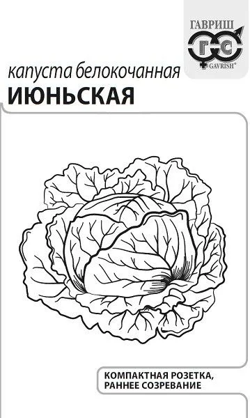 Капуста белокочанная Июньская