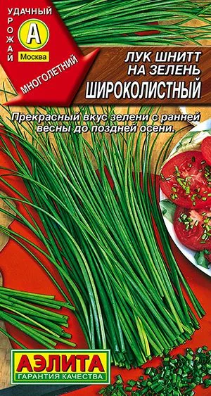 Лук шнитт на зелень Широколистный