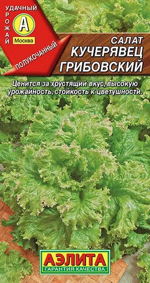 Салат Кучерявец грибовский
