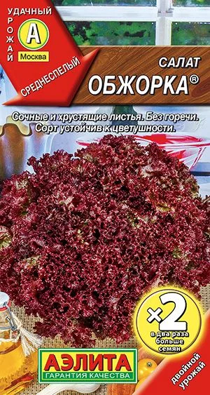 Салат Обжорка листовой