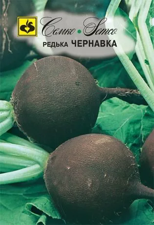 Редька Чернавка