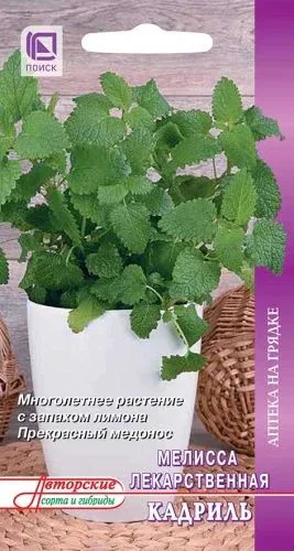 Пряные травы Мелисса лекарственная Кадриль