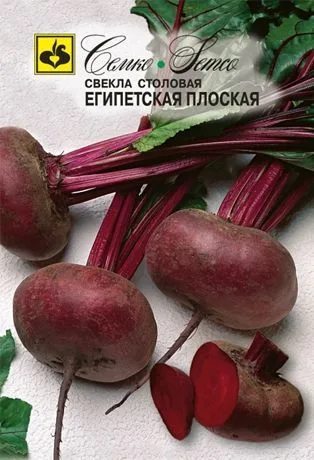 Свёкла Египетская Плоская