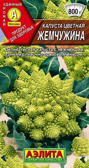 Капуста цветная Жемчужина