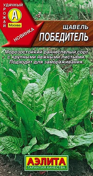 Салат Щавель Победитель