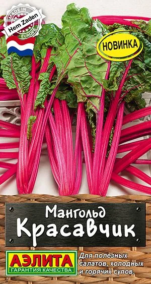 Салат Мангольд Красавчик