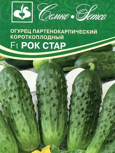 Огурец Рок Стар F1