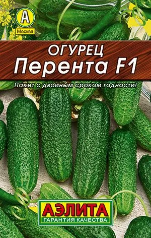 Семена: Огурец Перента F1