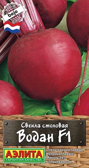 Свёкла Свекла столовая Водан F1